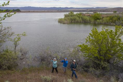 Hanford Reach National Monument: a Treasure Still Worth Protecting ...