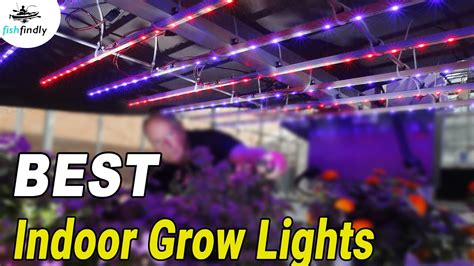 Best Indoor Grow Lights In 2020 – Top LED, Fluorescent & HID Models! - YouTube