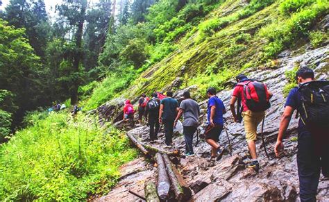 Trekking & Camping Tour Himacha Pradesh | Kheerganga Weekend Trekking Tour