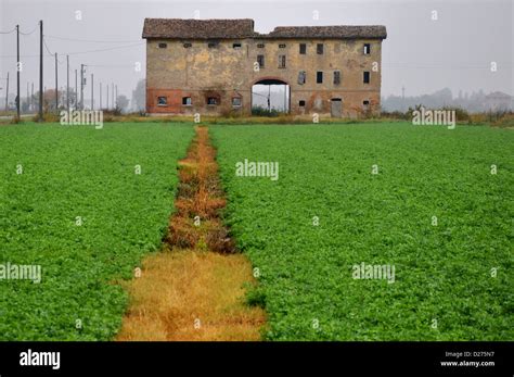 abandoned old farm house in the Po Valley, north of Italy Stock Photo ...