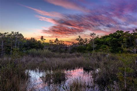 Florida has bought 20,000 acres to protect the Everglades - Lonely Planet