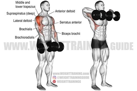 Dumbbell wide-grip upright row exercise instructions and video