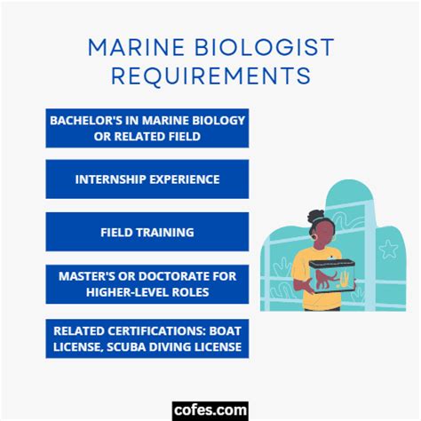 Marine Biologist: Job Description, Salary, Duties & More (2023)