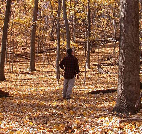 Hiking trails just the start at Forest Park Nature Center - Chronicle Media