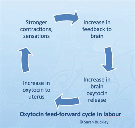 Synthetic Oxytocin (Pitocin, Syntocinon): Unpacking the myths and side-effects - Dr Sarah Buckley