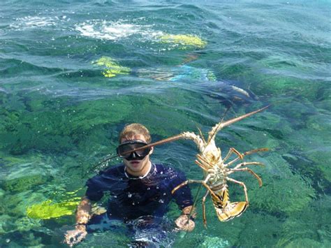 Spearfishing Eleuthera — Spanish Wells Fishing