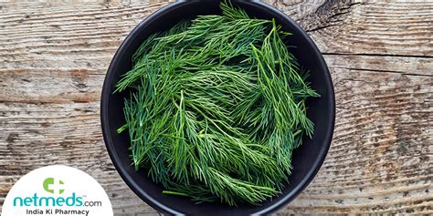 Dill Leaves: Astonishing Benefits Of Adding This Nutritious Herb To ...