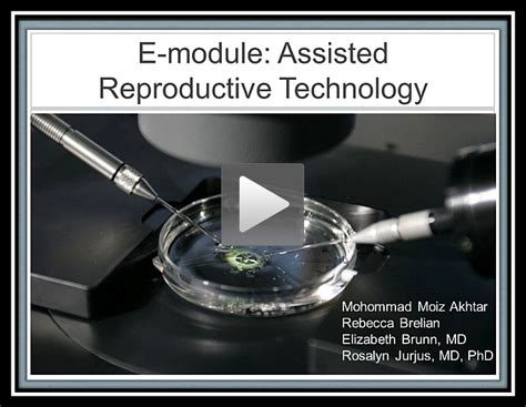 E-Modules 9: Pregnancy Timeline - Integrated Curriculum: Anatomy ...