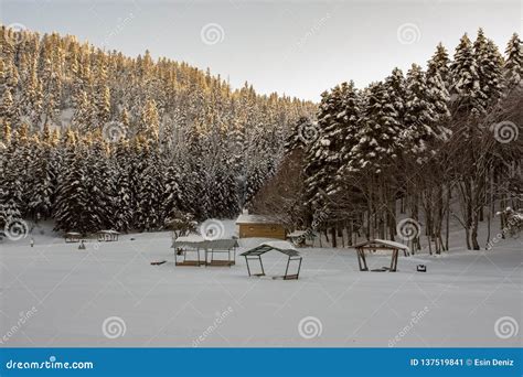 Abant / Bolu / Turkey, Winter Snow Landscape. Travel Concept Photo Stock Image - Image of winter ...