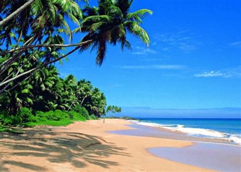 Negombo beach – what to visit and what to do in Sri Lanka on the map