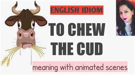 English idiom : To chew the cud | Meaning | Example with animated ...