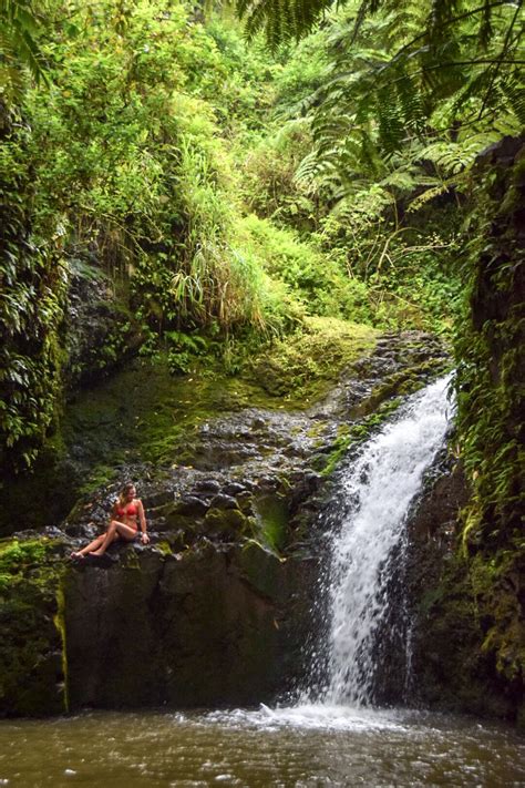 Hiking Tours — Oahu Hike