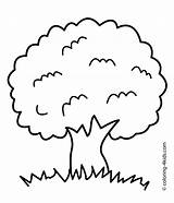 Simple Tree Coloring Page  Home sketch template