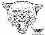 Cougar Drawings sketch template