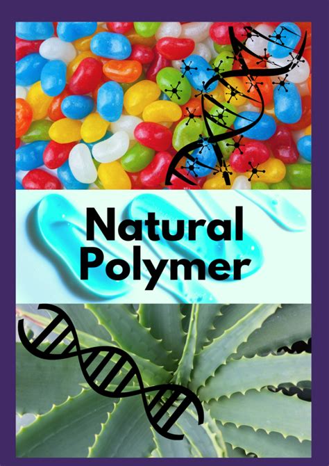 Natural Polymers|ISC CHEMISTRY PROJECT|Biswajit Das - All About Chemistry