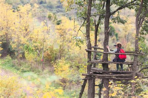 4 Best Bird Watching Sites In The World You Might Not Know - Cool Wood ...