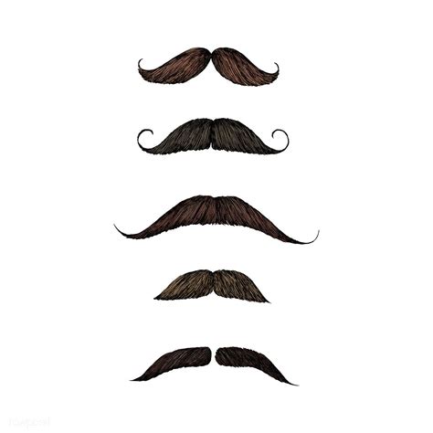 Hand drawn sketch of mustaches | premium image by rawpixel.com | How to draw hands, Mustache ...