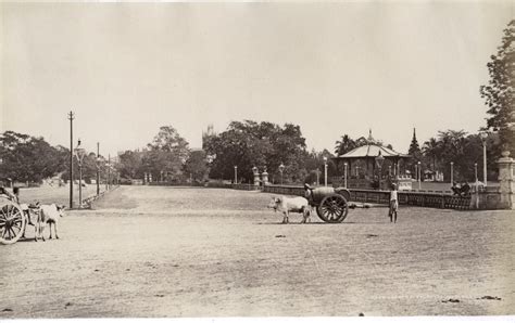 Eden Gardens in Calcutta (Kolkata) - Late 19th Century - Old Indian Photos