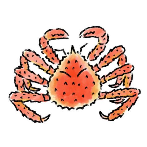 140+ Crabe Royal De Lalaska Illustrations, graphiques vectoriels libre de droits et Clip Art ...