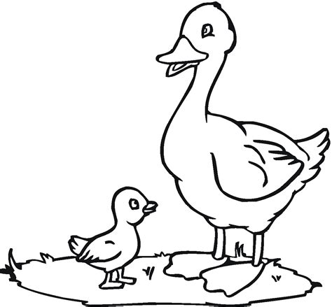 Duck Coloring Pages - Best Coloring Pages For Kids