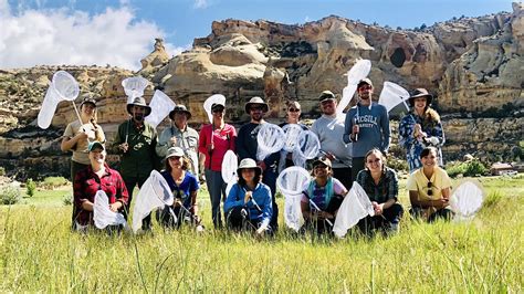 USU Students Helping the Monarch Butterfly in the Uintah Basin