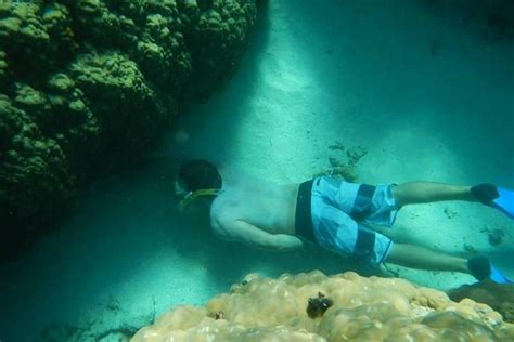 Mystery Island Snorkeling Tour 2024 - Vanuatu