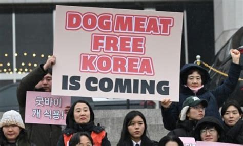 South Korea parliament passes bill banning dog meat trade - eNCA