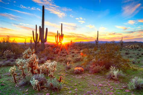 5 Things to do at Sunset in Arizona - Holiday Rentals Travel Magazine