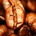 photo: home roasted coffee beans ethiopian harar horse lot 14659 MG 4097 - by seandreilinger