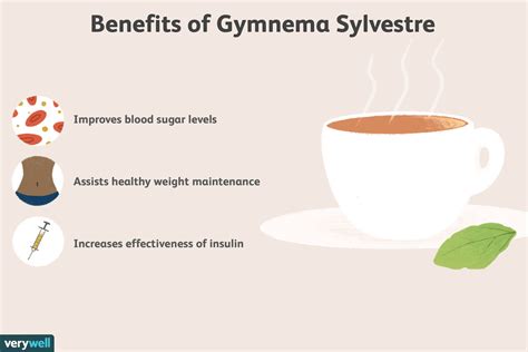 Gymnema Sylvestre: Benefits, Side Effects, Dosage, and Interactions