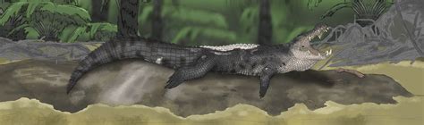 Bujang Senang Crocodile by Sobek1926 on DeviantArt