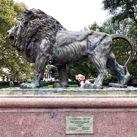 Bronze Lion Statue School Mascots - YouFine Bronze Sculpture