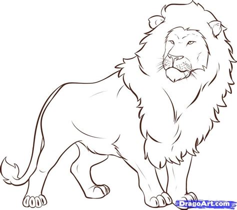 Simple Lion Drawing Sketch - Drawing Skill