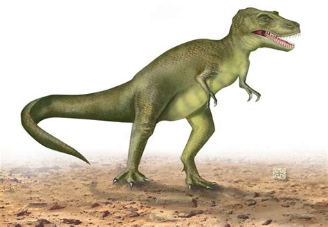 T. Rex Could Outrun Humans | Live Science