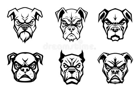 Set boxer dog stock vector. Illustration of sign, isolated - 302889961