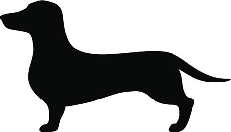 Dachshund Dog Vector Black Silhouette Stock Illustration - Download ...