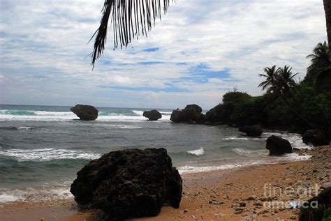 Bathsheba Beach Photograph by Gary Wonning - Pixels