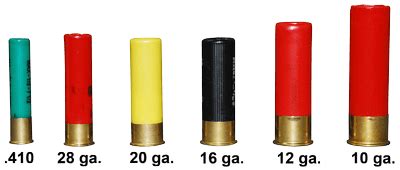 The Shotgun Ammo Buying Guide - GunsandOptics