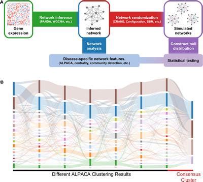 Frontiers | Generating Ensembles of Gene Regulatory Networks to Assess Robustness of Disease ...