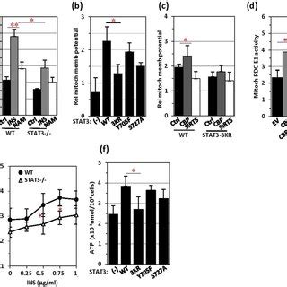 Mitochondrial membrane potential and ATP generation are inhibited by... | Download Scientific ...