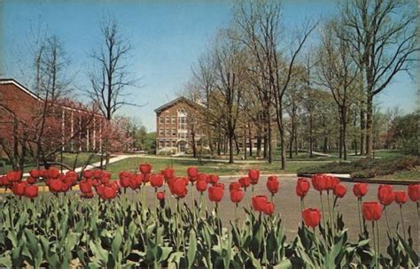 Earlham College - Campus in Spring Richmond, IN Postcard