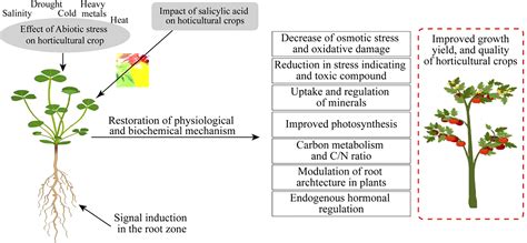 Frontiers | Salicylic acid had the potential to enhance tolerance in horticultural crops against ...