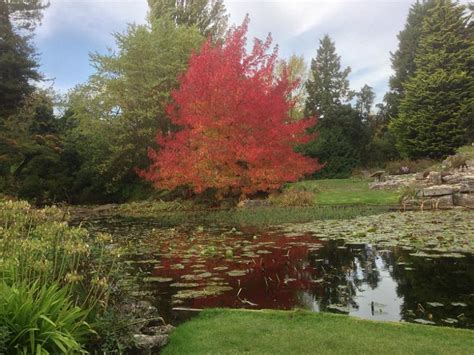 Cambridge_Botanic_Gardens