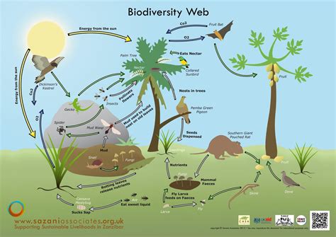 Biological Diversity Wallpapers - Wallpaper Cave