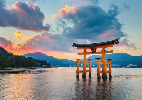 The Ideal and Exciting Japan Island Tours - Hippos In Tanks