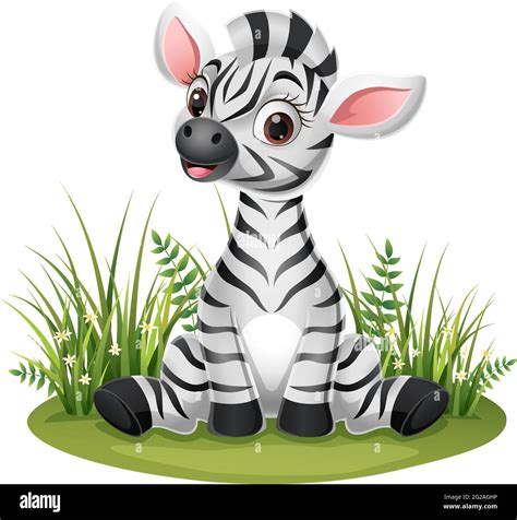 Cartoon baby zebra sitting in the grass Stock Vector Image & Art - Alamy