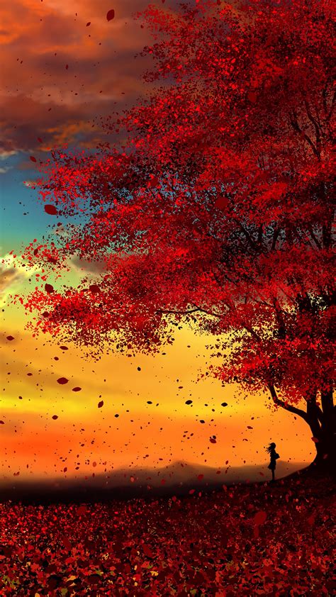 Anime, Autumn, Scenery, Sunset HD HD Phone Wallpaper | Rare Gallery