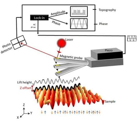 Magnetic force microscopy | csinstruments