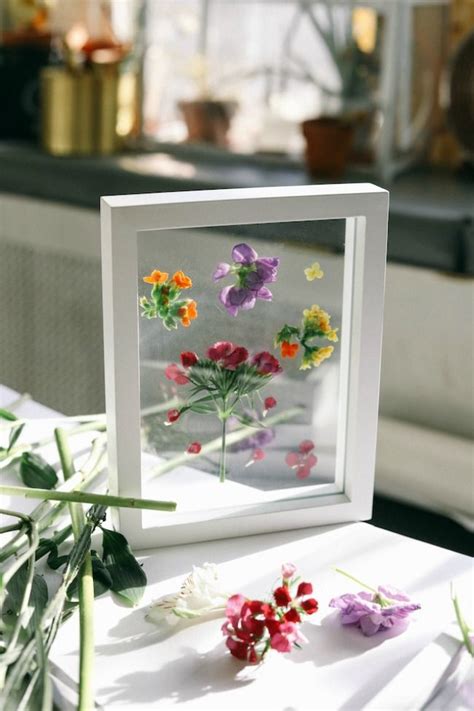 How to Press and Frame Flowers #pressedflowers #flowers #diyhomedecor Diy Home Crafts, Home Diy ...