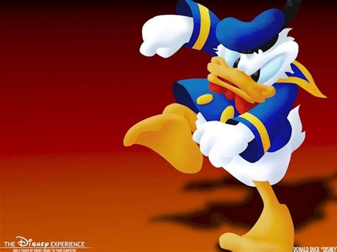 Donald Duck Wallpaper - Donald Duck Wallpaper (6350998) - Fanpop